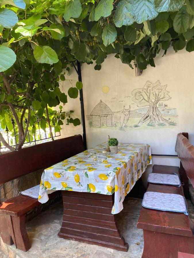 Studio Apartment Elsa Galizana Экстерьер фото