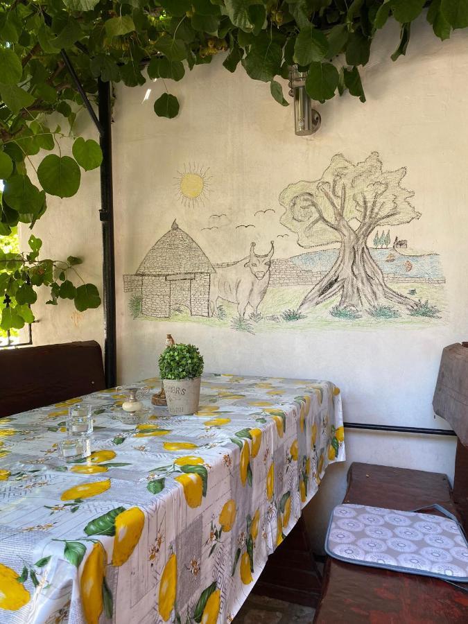 Studio Apartment Elsa Galizana Экстерьер фото